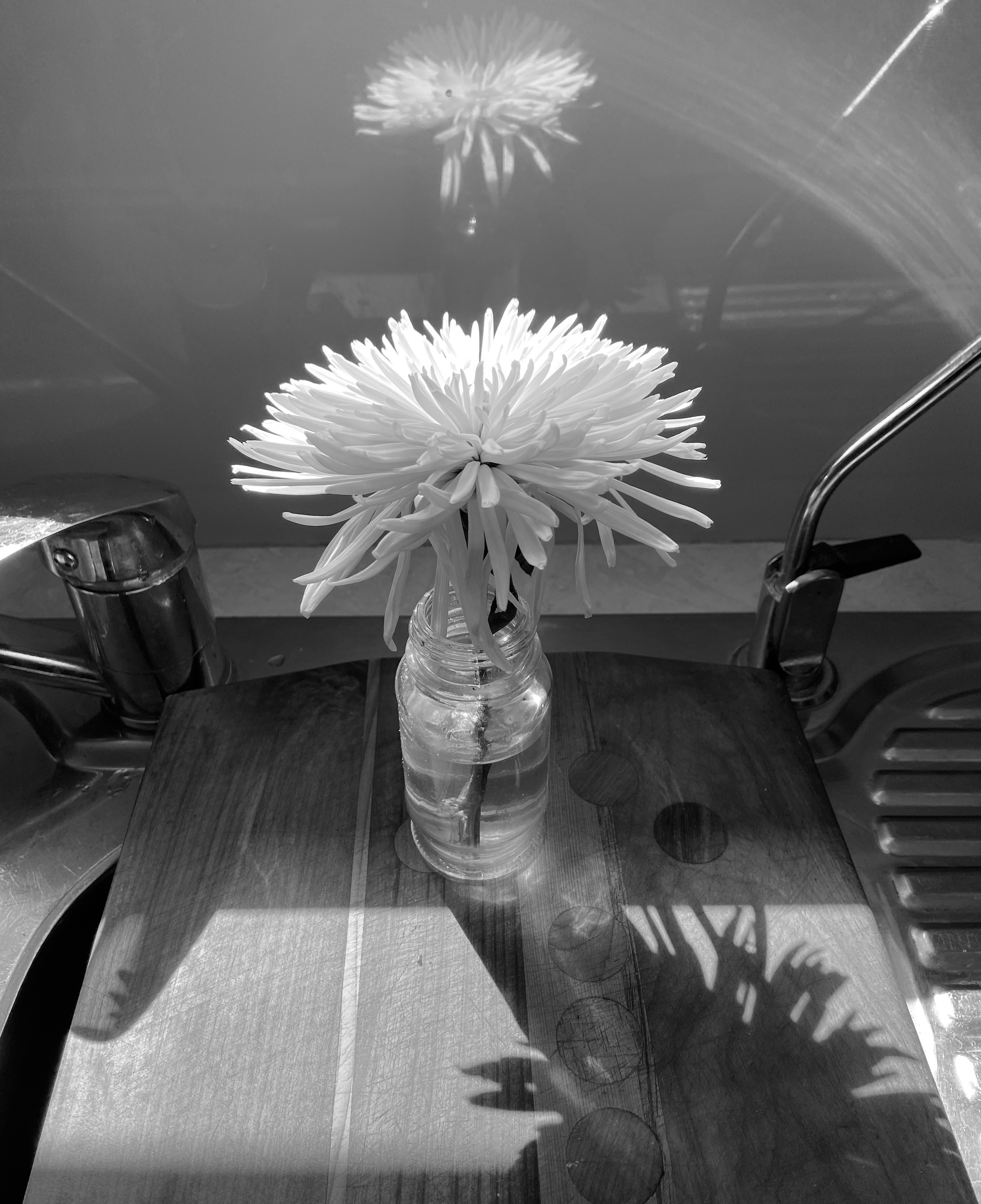 C6EBDFD8-64AF-490C-96DD-124BCDF58492_1_201_a.jpeg