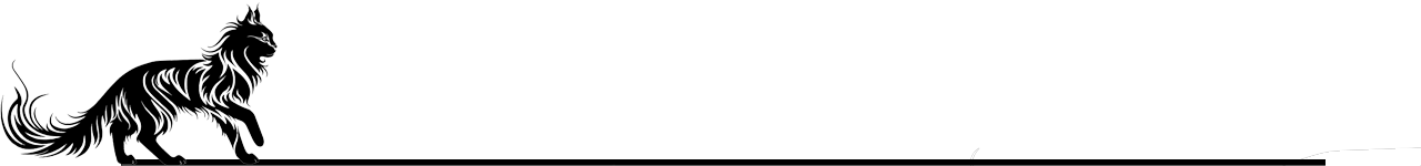 13.png
