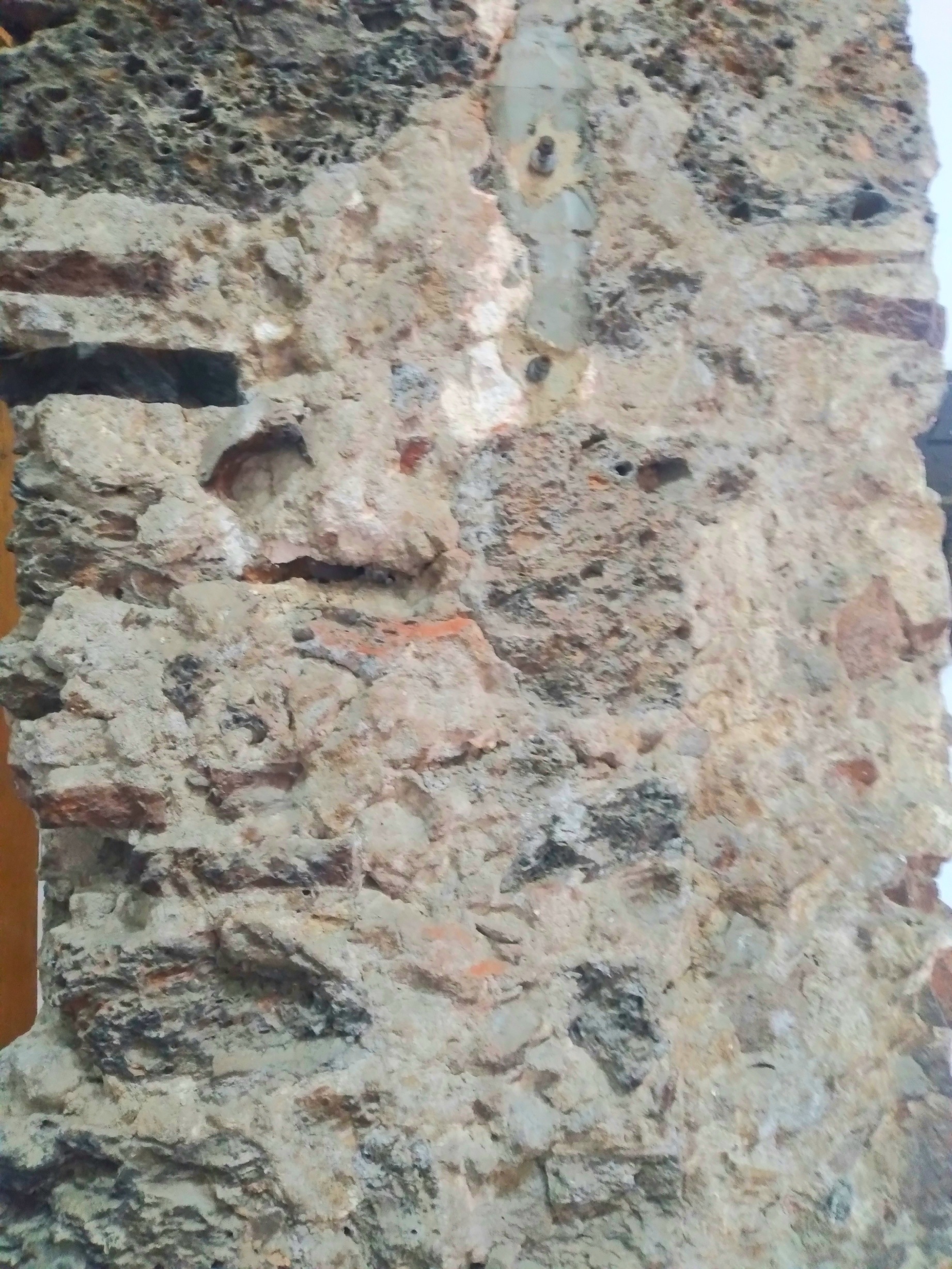 20250712_091252.jpg