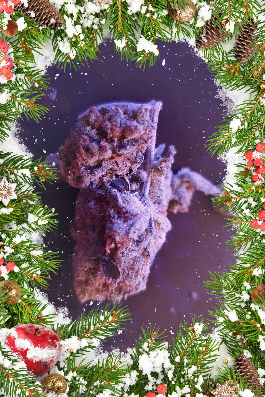 PhotoLab_Fir_Needles_Photo_Frame_20211214_191007.jpg