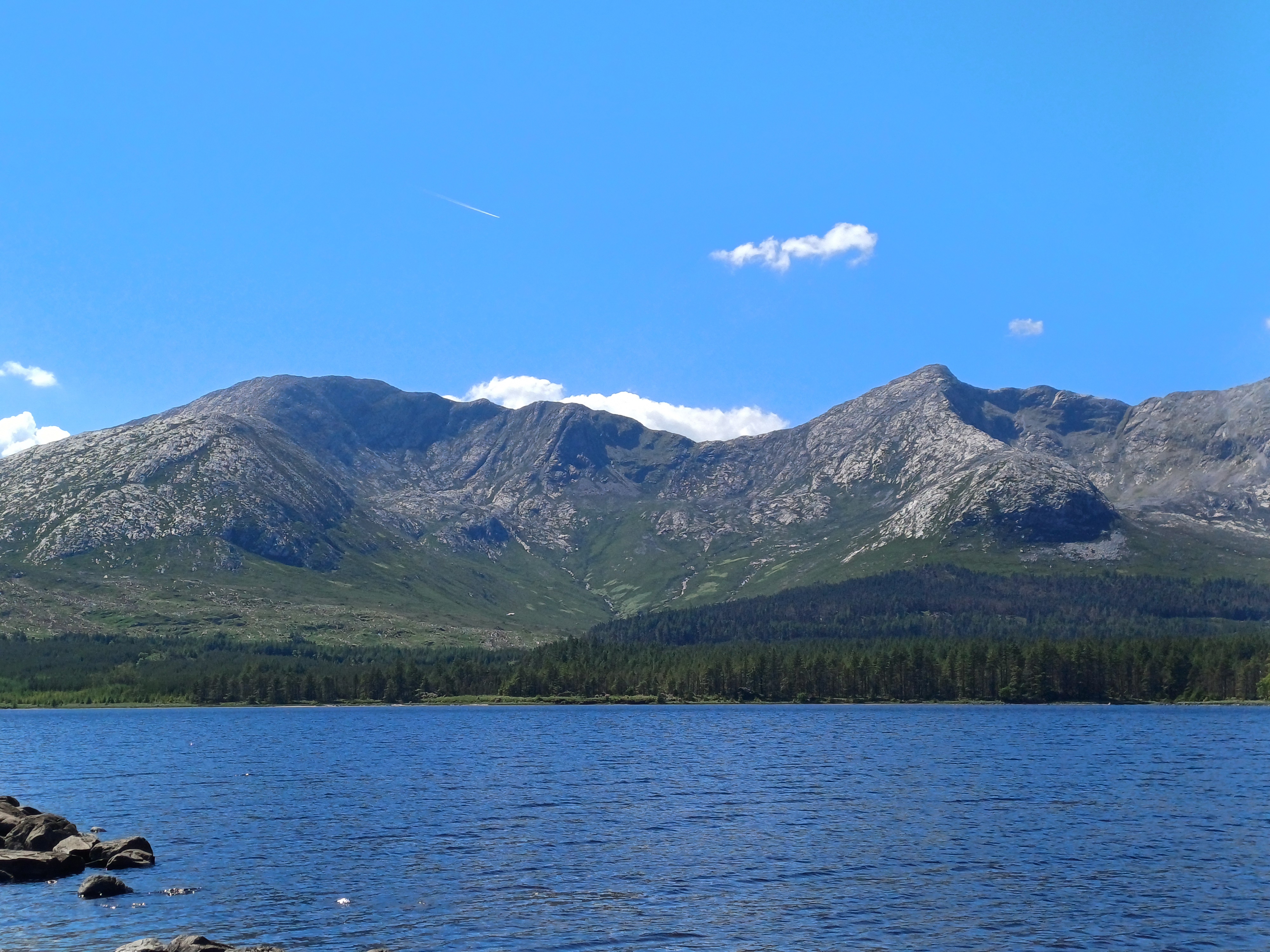 20250518_144152.jpg
