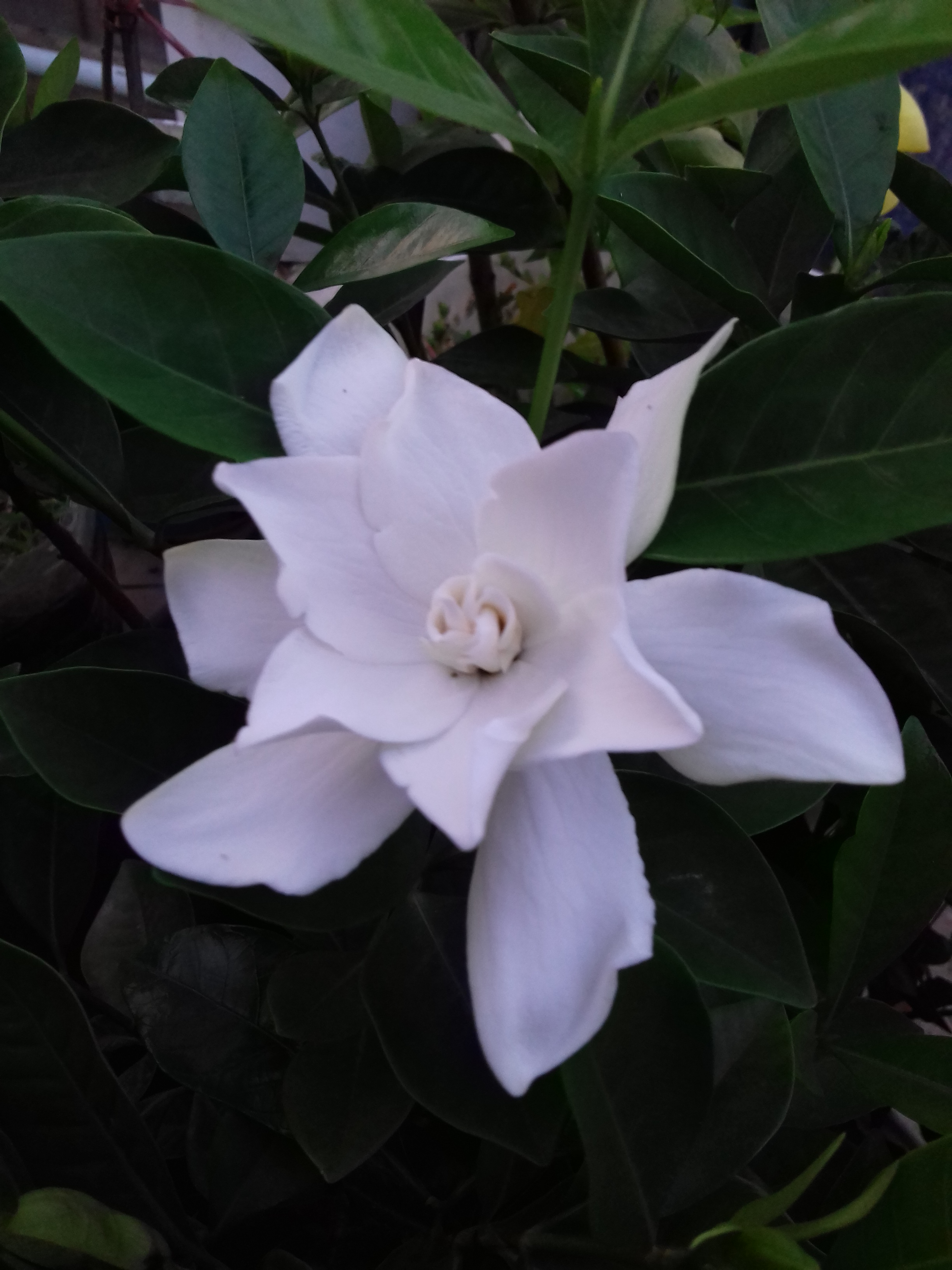 20190716_182026.jpg