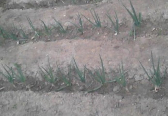 2022_02_06_12.06.01.jpg