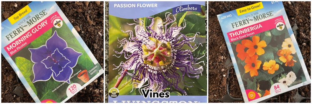 gardening-greenhouse-vines-1.jpg