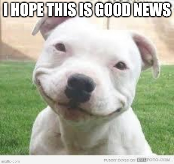 Screenshot 2022-10-27 at 16-30-56 Happy Friday Puppy Meme Generator - Imgflip.png