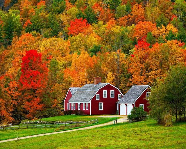 Farmhouse.jpg