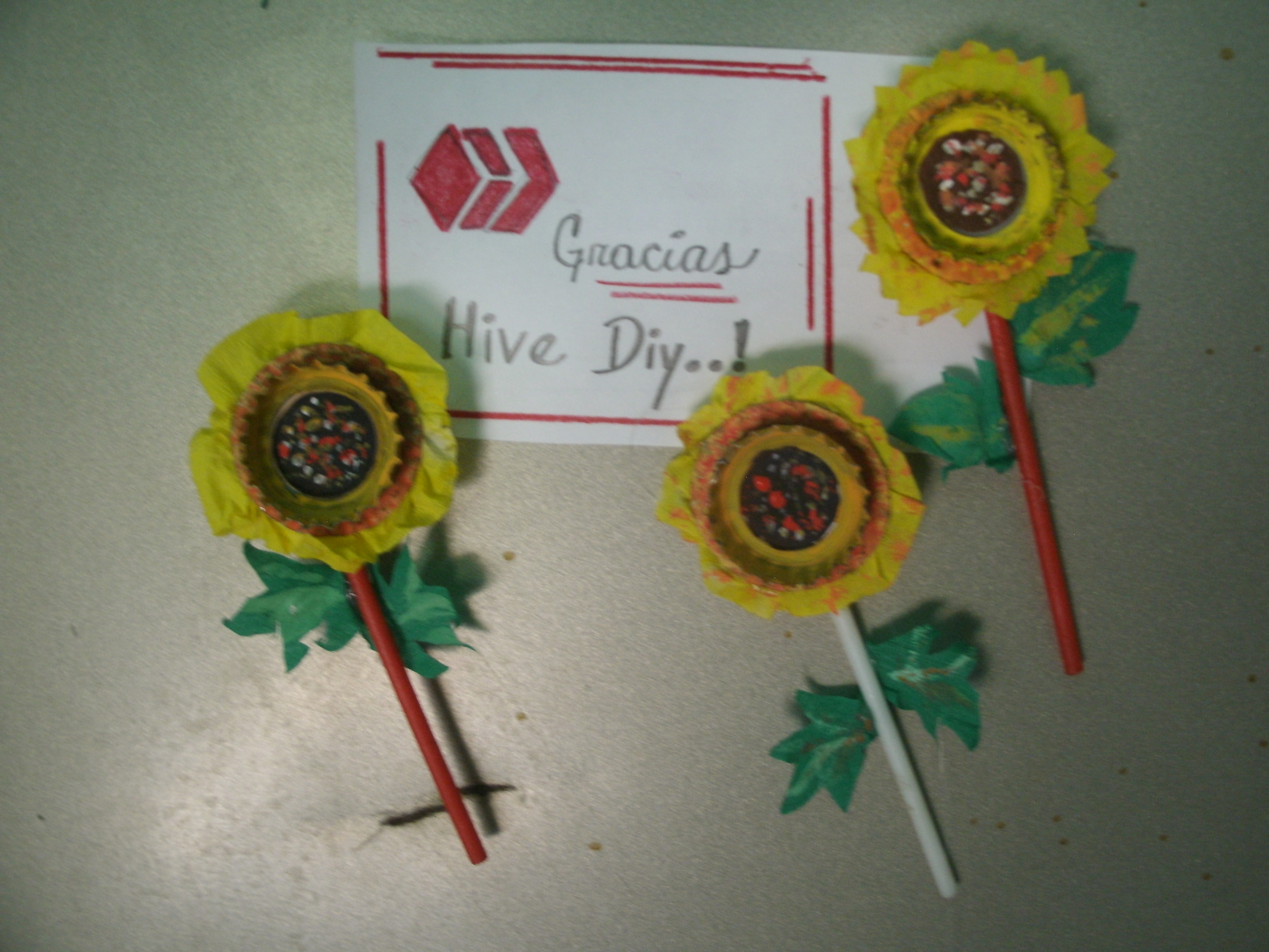 GEDC0699.JPG