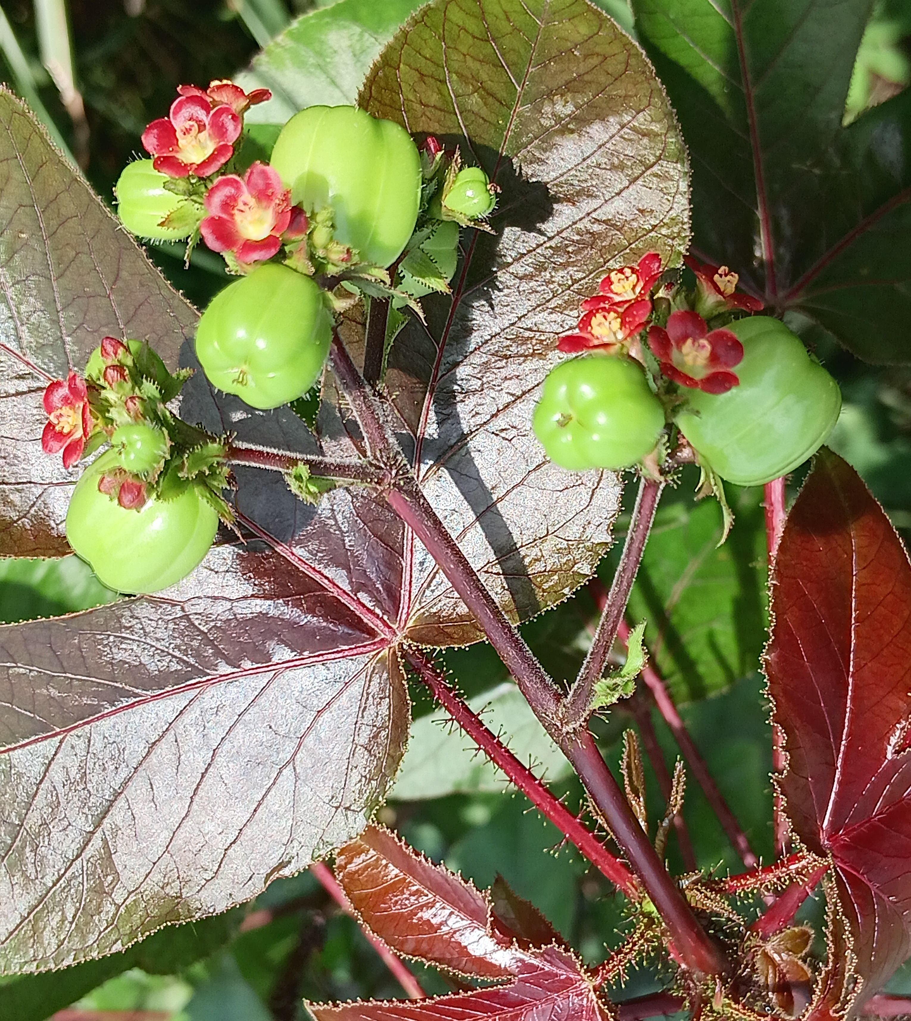 20250801_095601.jpg