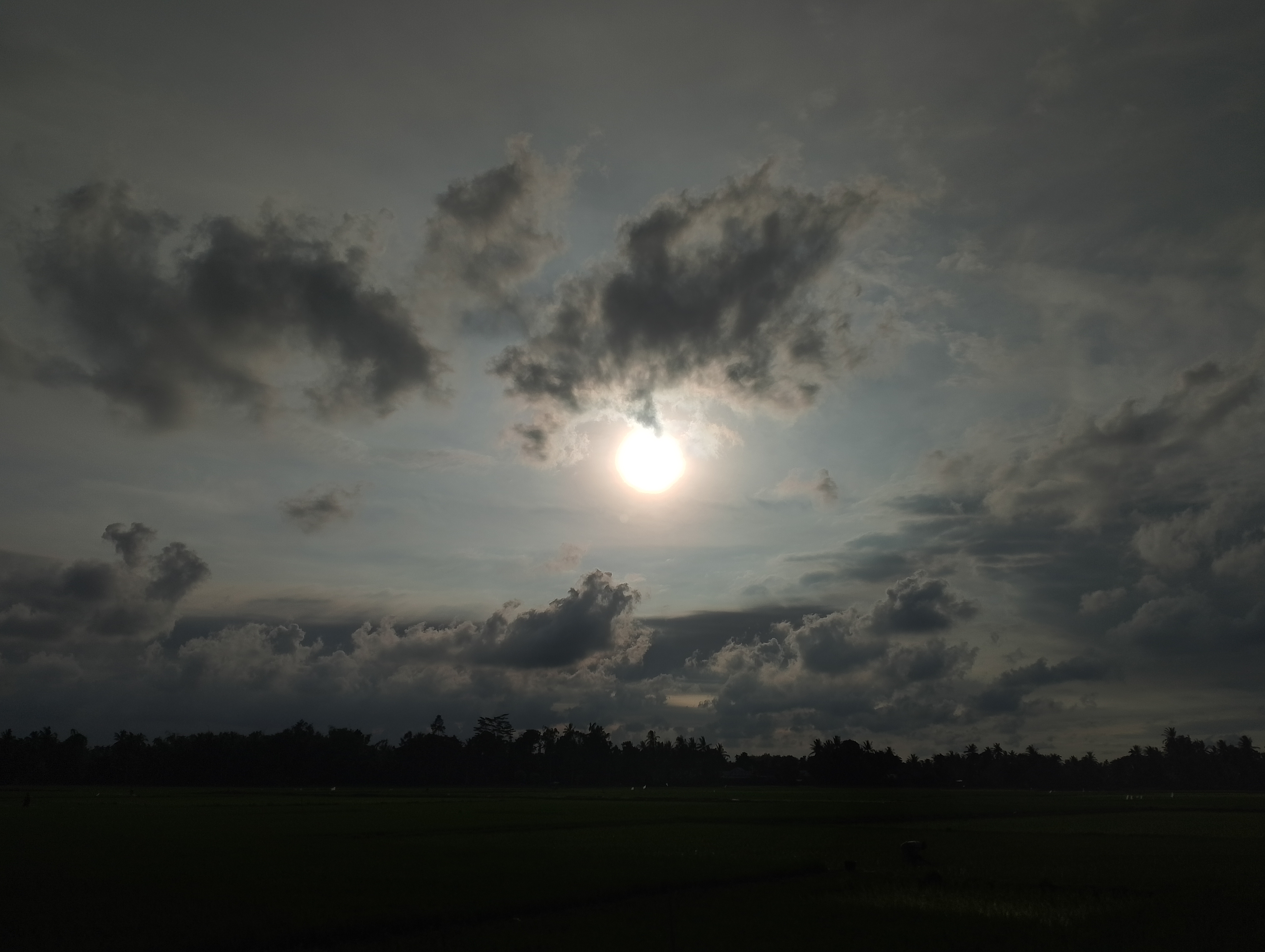 IMG_20250809_172854.jpg