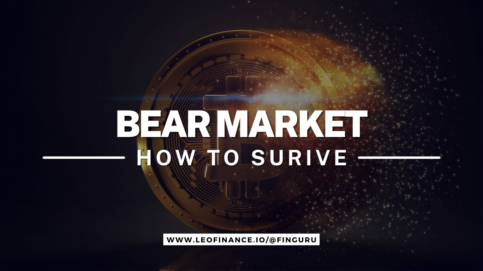 @finguru/how-i-plan-to-survive-crypto-bears