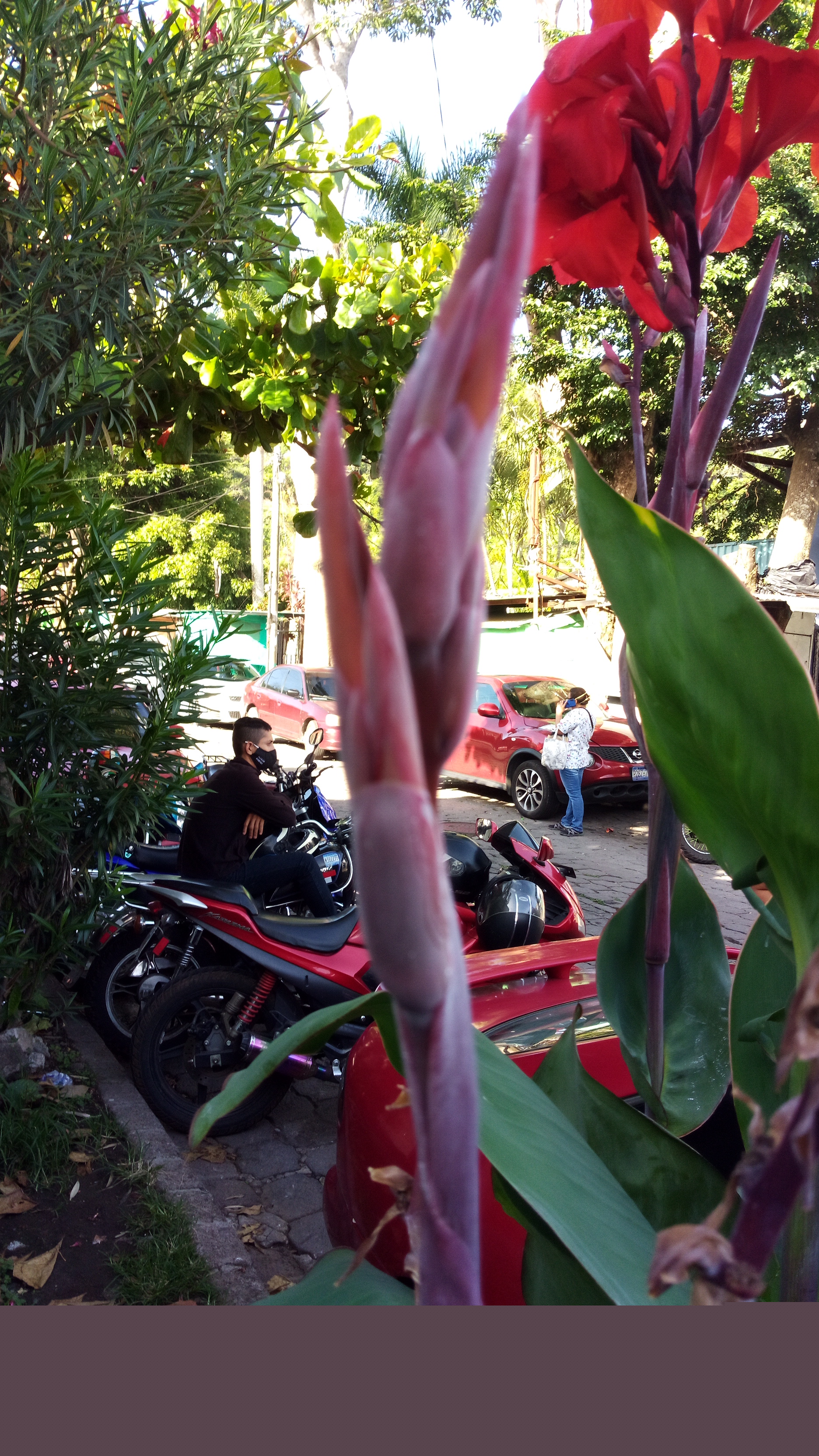 IMAG7823.jpg