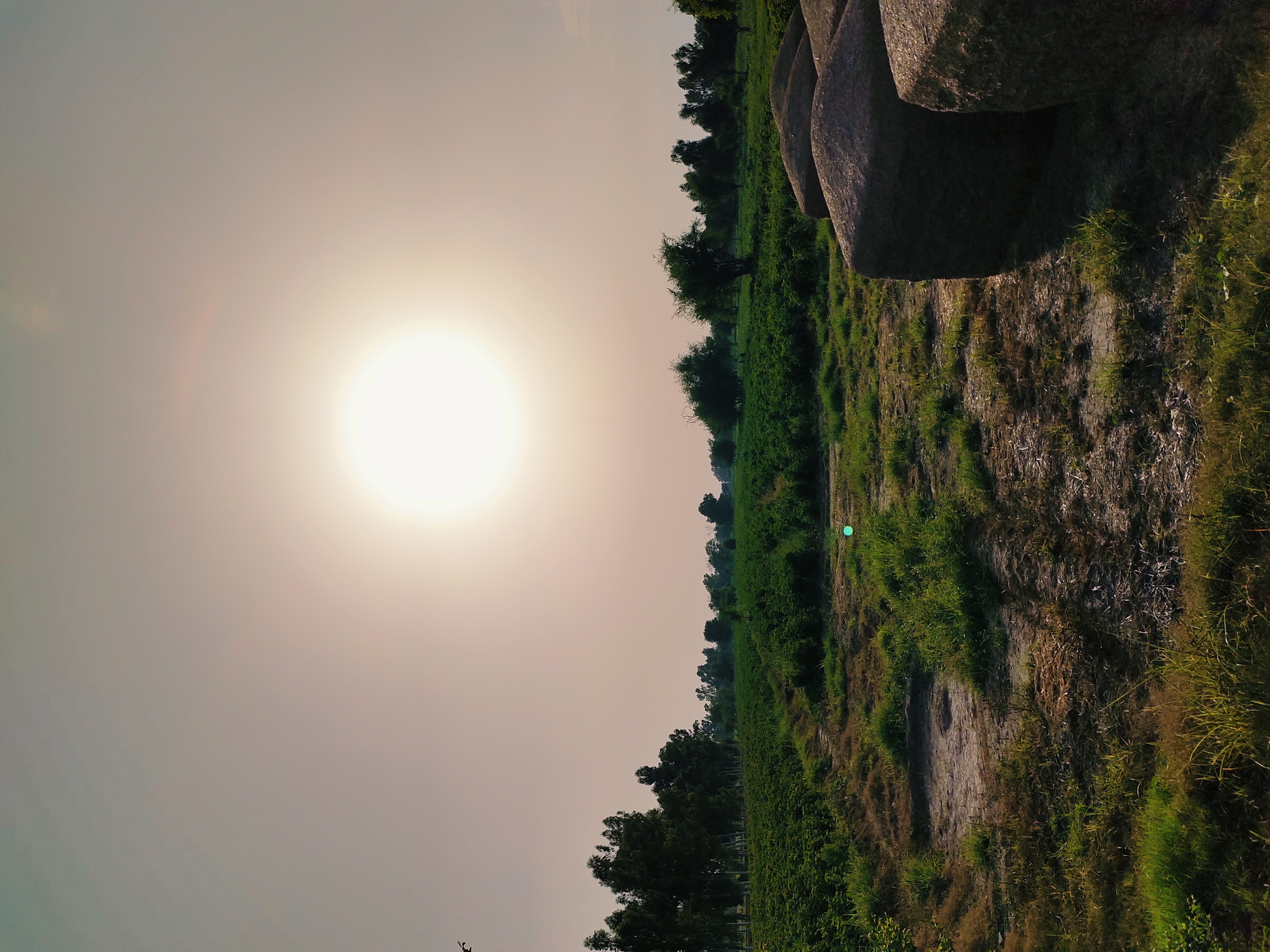 IMG_20220804_173857.jpg