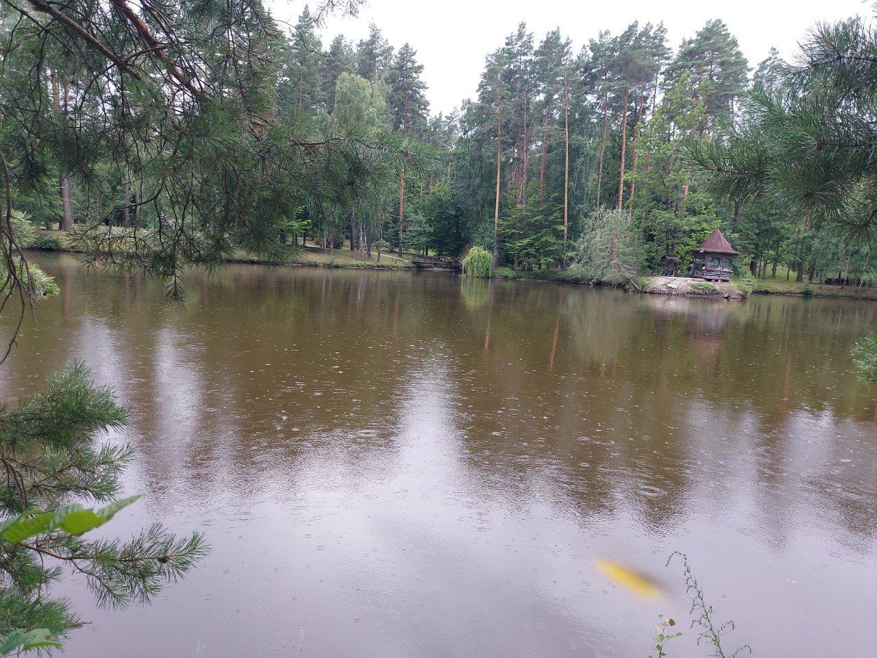 IMG_0474.jpeg