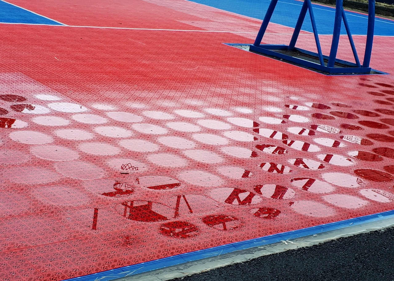 20250717_154559.jpg