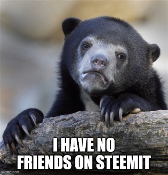 Screenshot_2020-05-29 Confession Bear Meme Generator - Imgflip.png