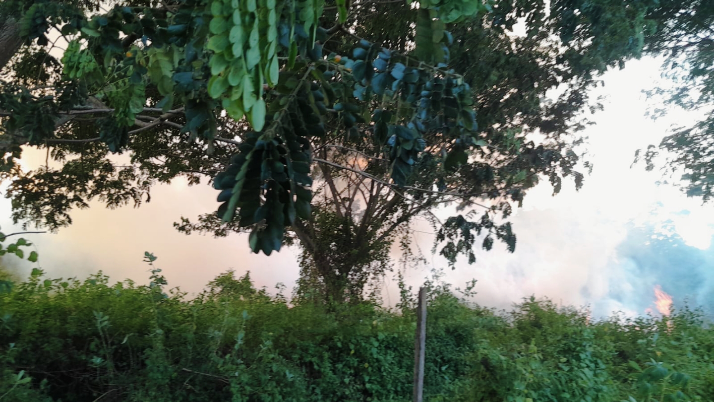 MEITU_20250724_011145262.jpg