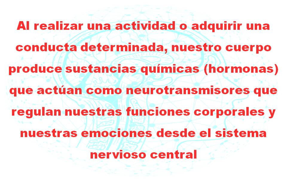 Al realizar una actividad o adquirir una conducta.jpg