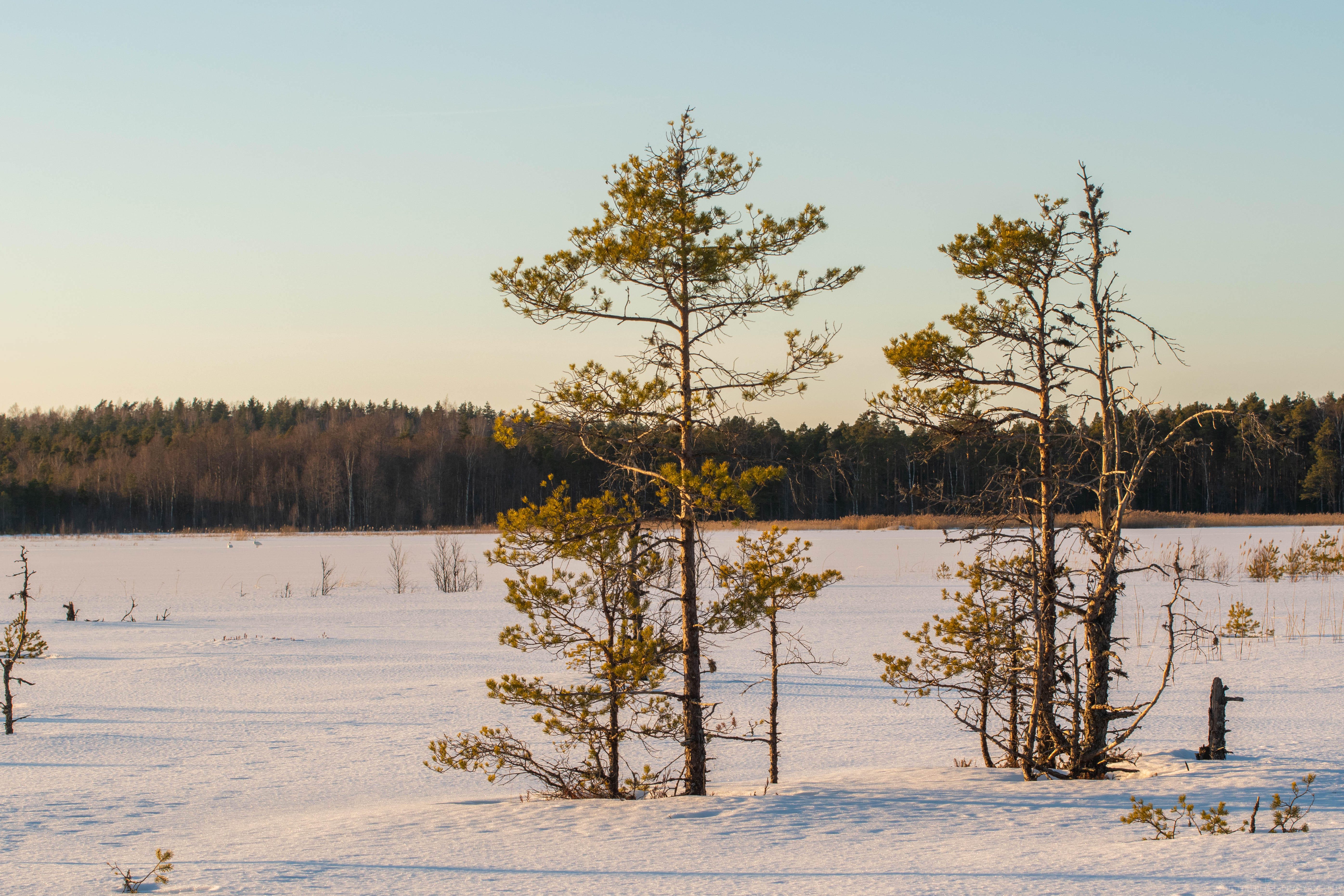 DSC_0121-2.jpg