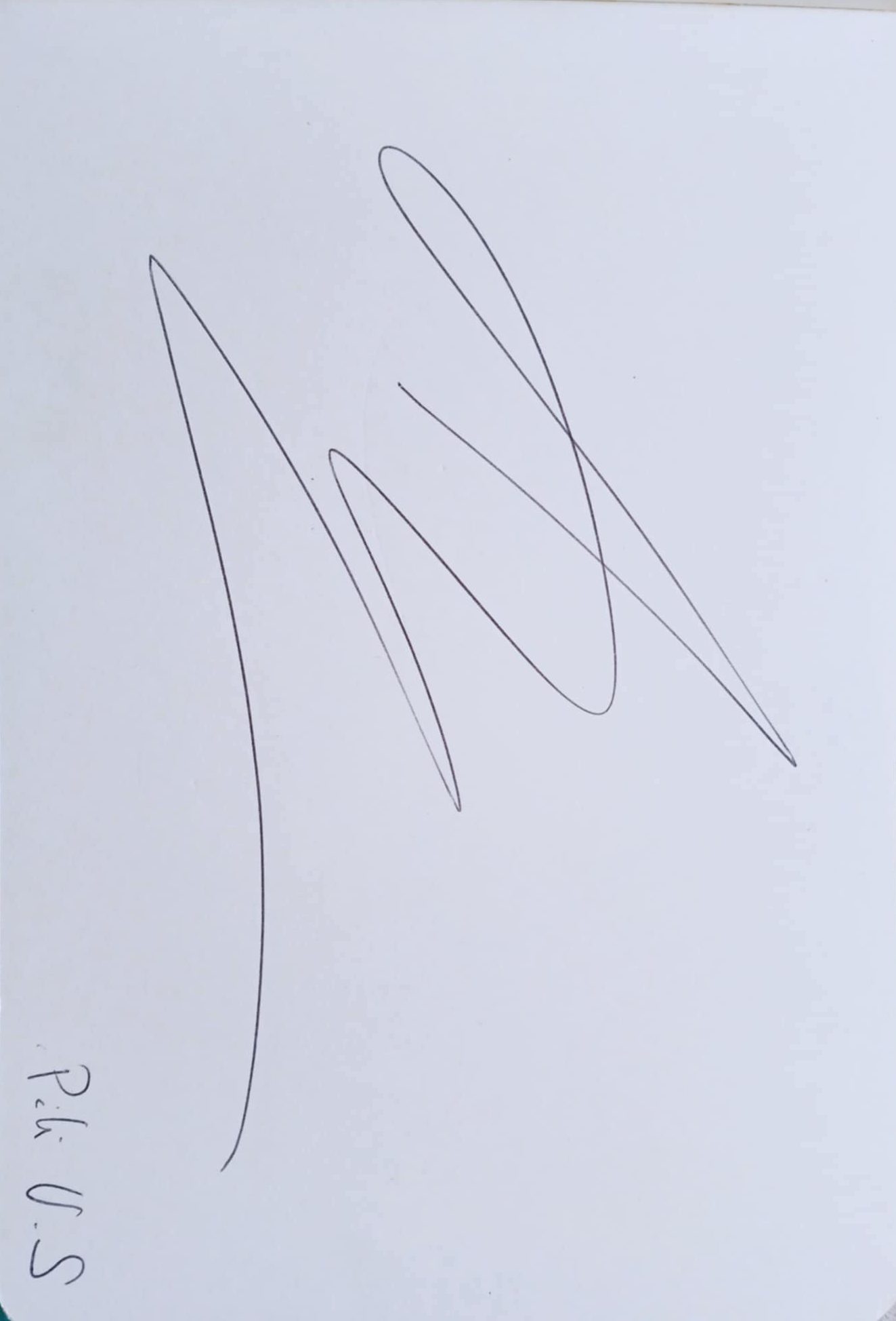 dibujo862A.jpg