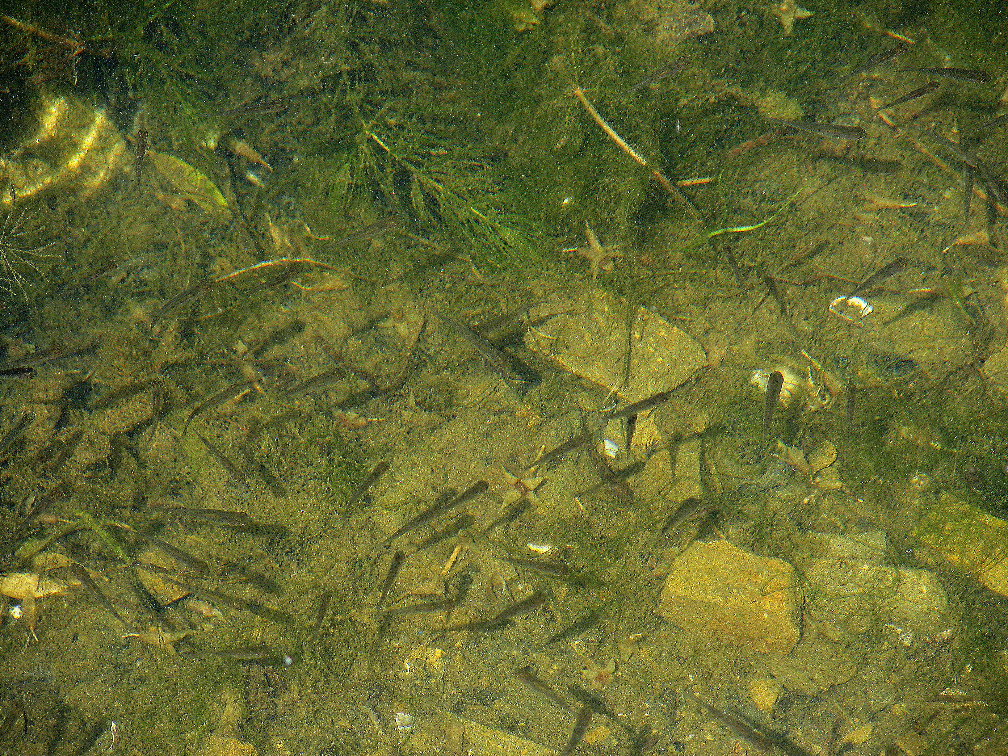 2009.06.14 14.51.18 3.jpg