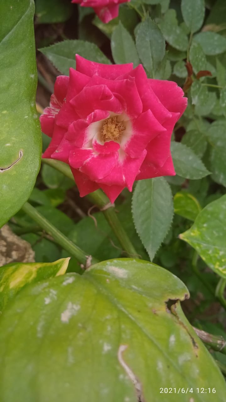 JvFFVmatwWHRfvmtd53nmEJ94xpKydwmbSC5H5svBACH7xxRKKfRQTSFFwSguixLbSVLDxLsXqGBC1coy33UZg6wbiuemsa2q5KYjkGQmrT5PfSK8WMGHG8QpR6gZFjYdBwHN3Rdne.jpeg