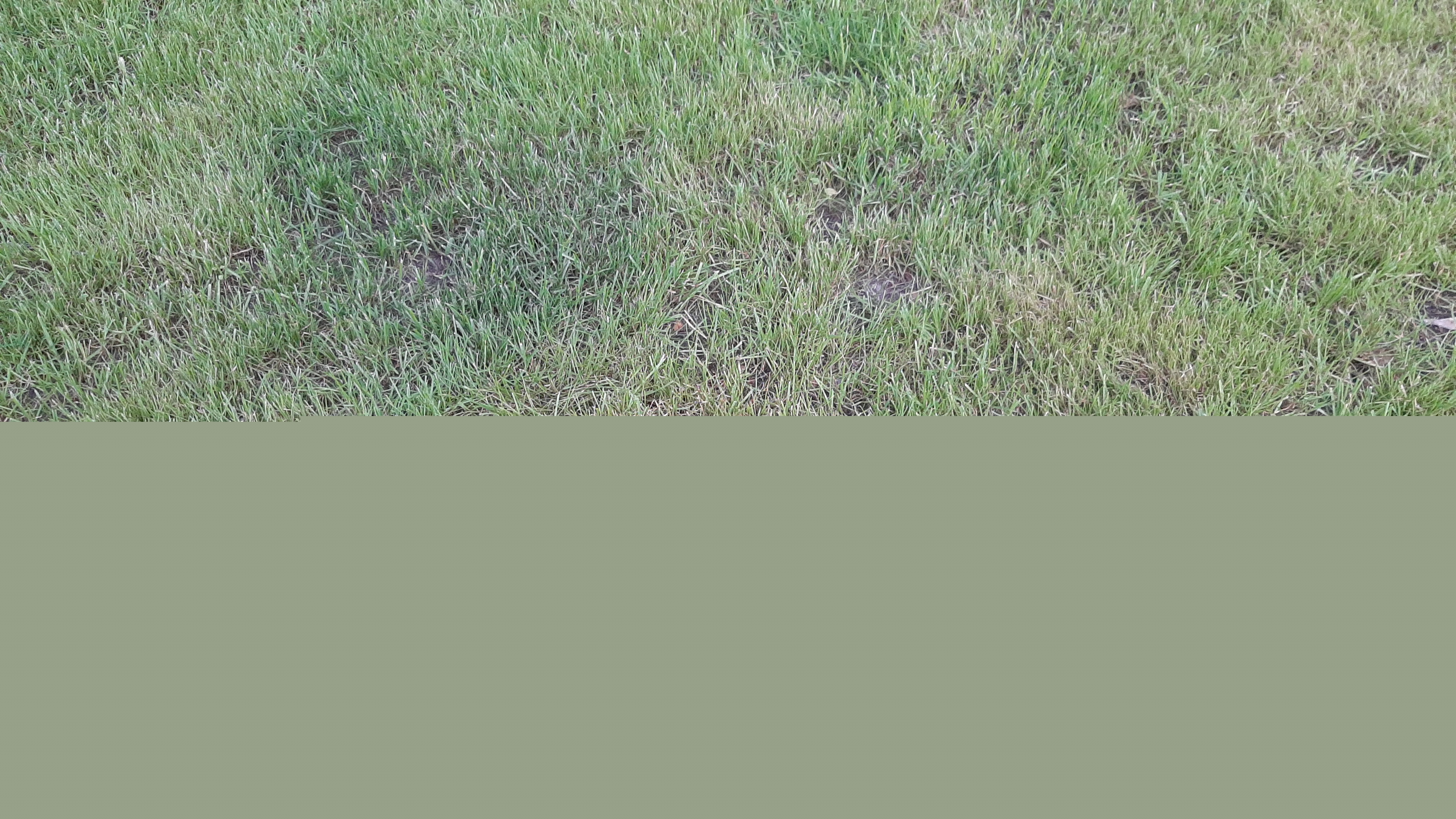20220722_195407.jpg