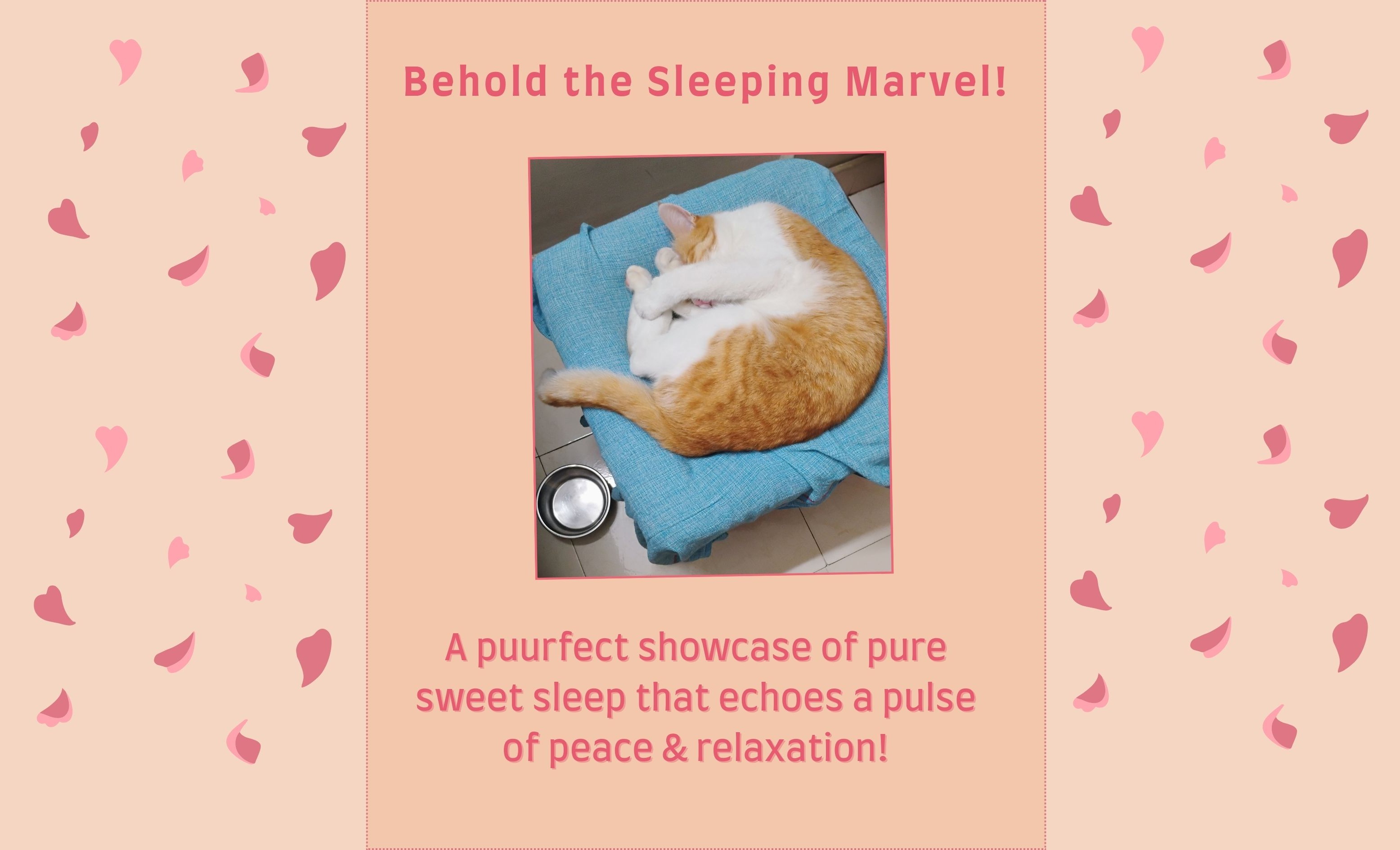 sleeping_marvel.jpg