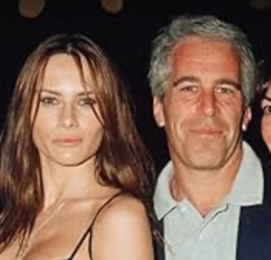 I wonder who is behind the Epstein Hoax ?