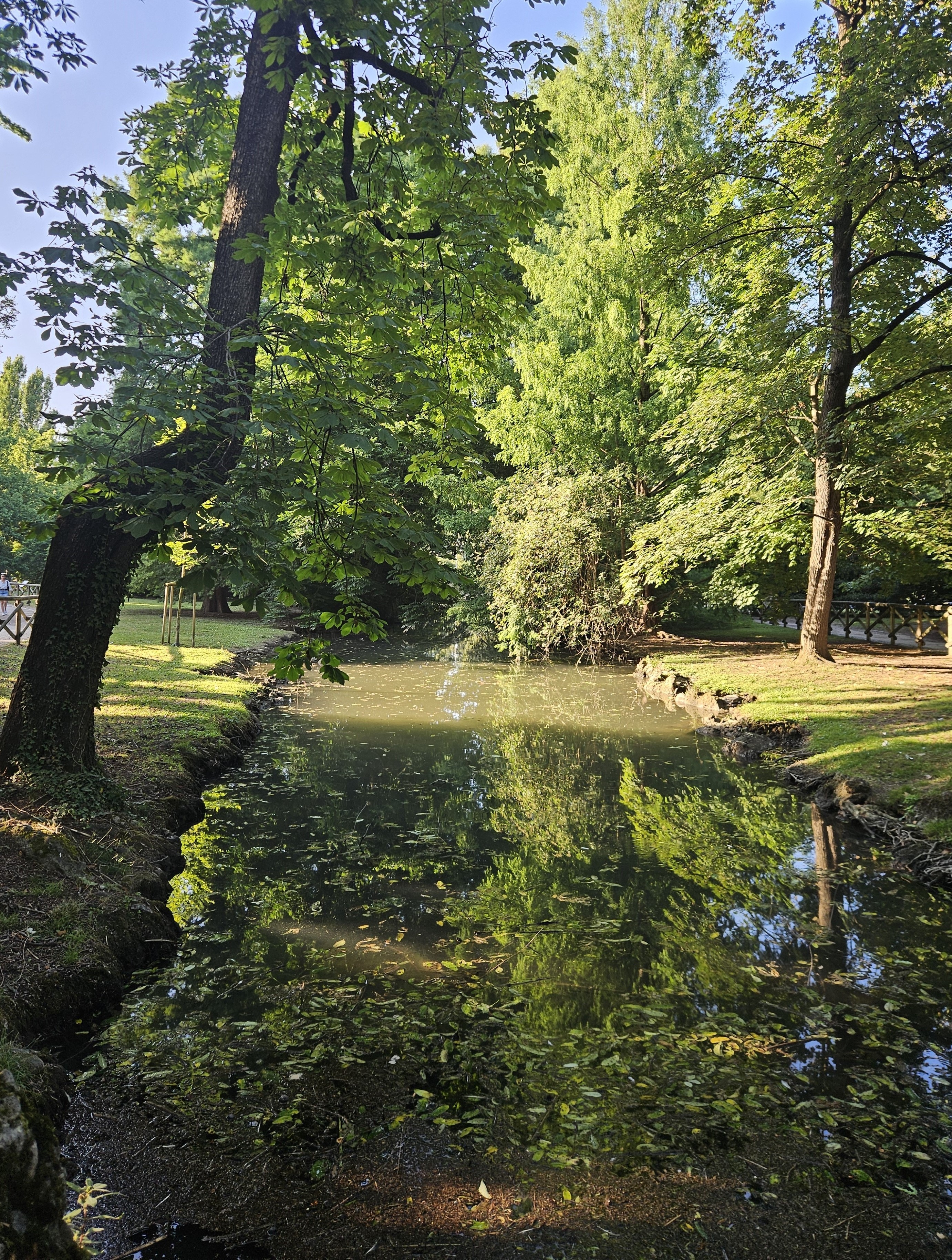 20250622_191137.jpg