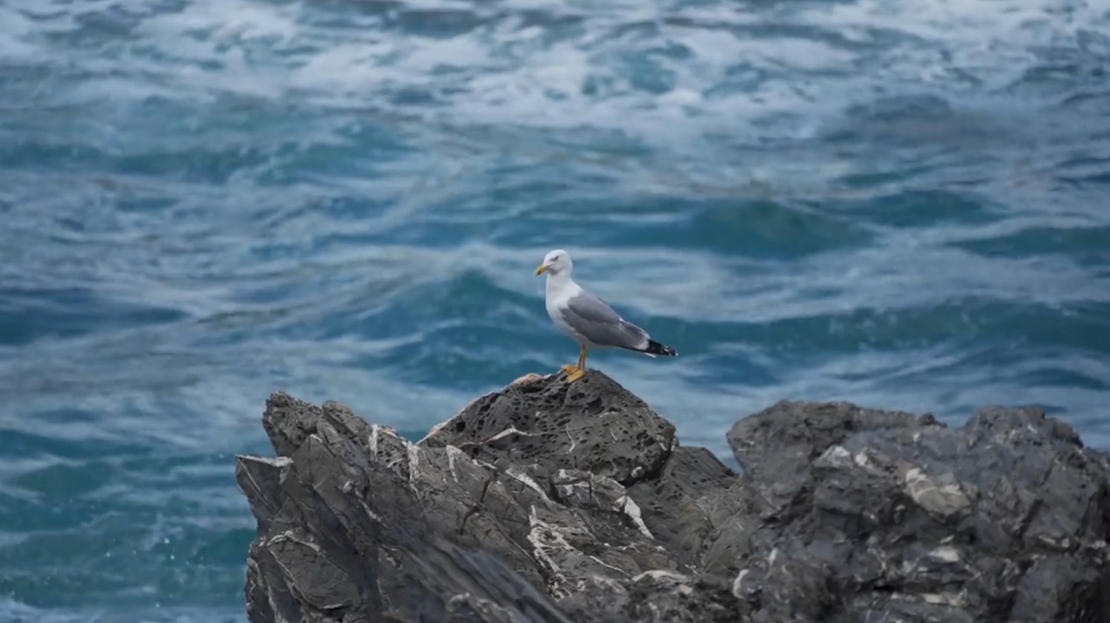 50.-Cinqueterre-Monterosso-16.png