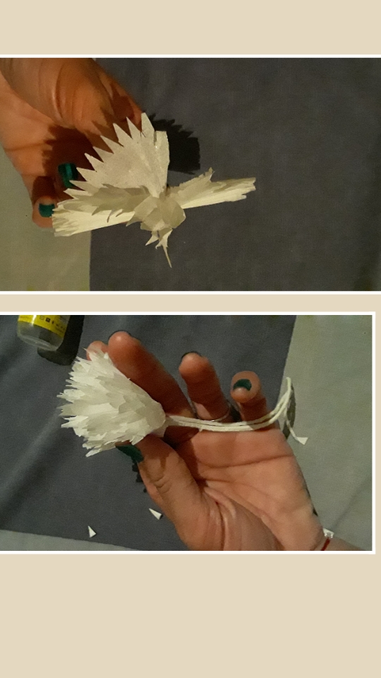 photocollage_2021122184218709.jpg