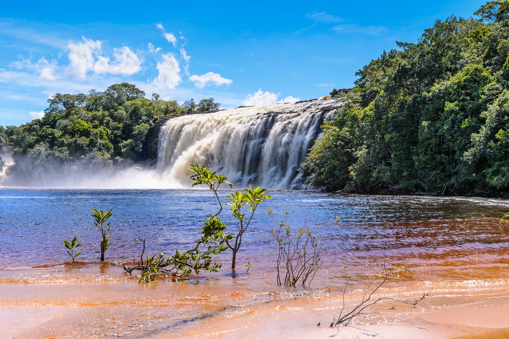 Parque Canaima.jpg