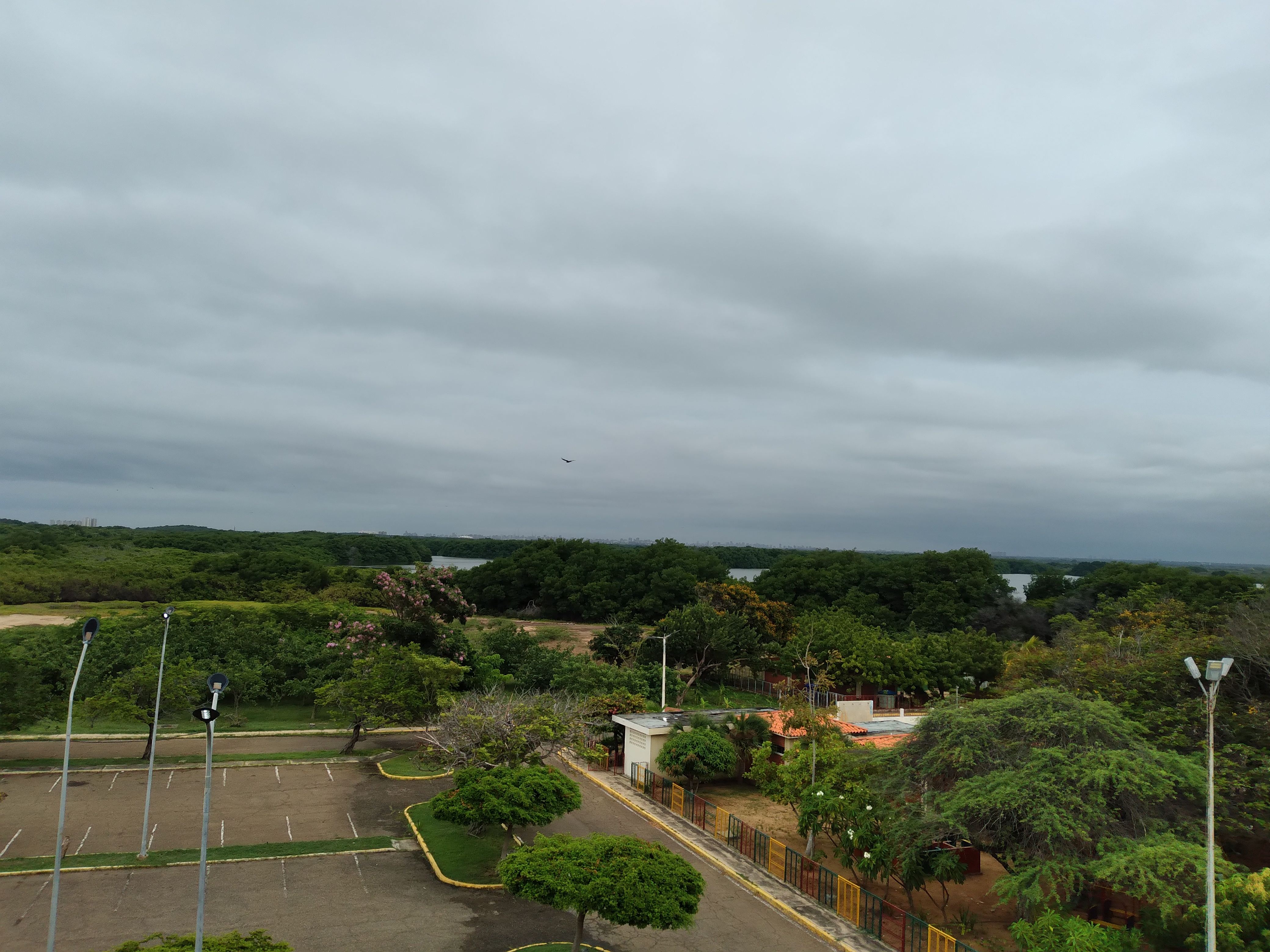 20250426_101200.jpg