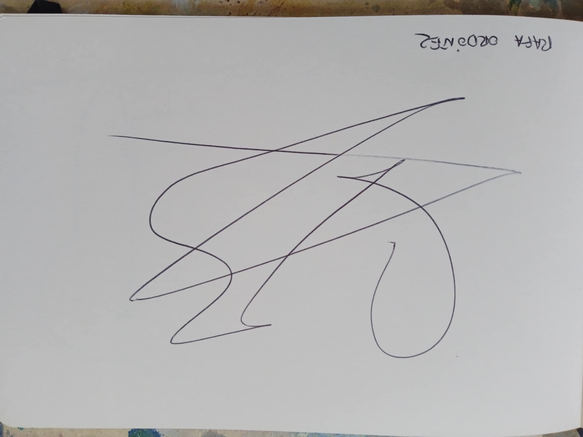 dibujo870A.jpeg