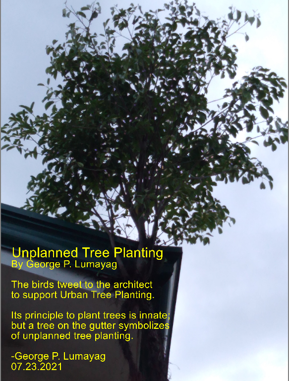 The Unplanned Tree Planting by George Lumayag. 07.23.2021.png