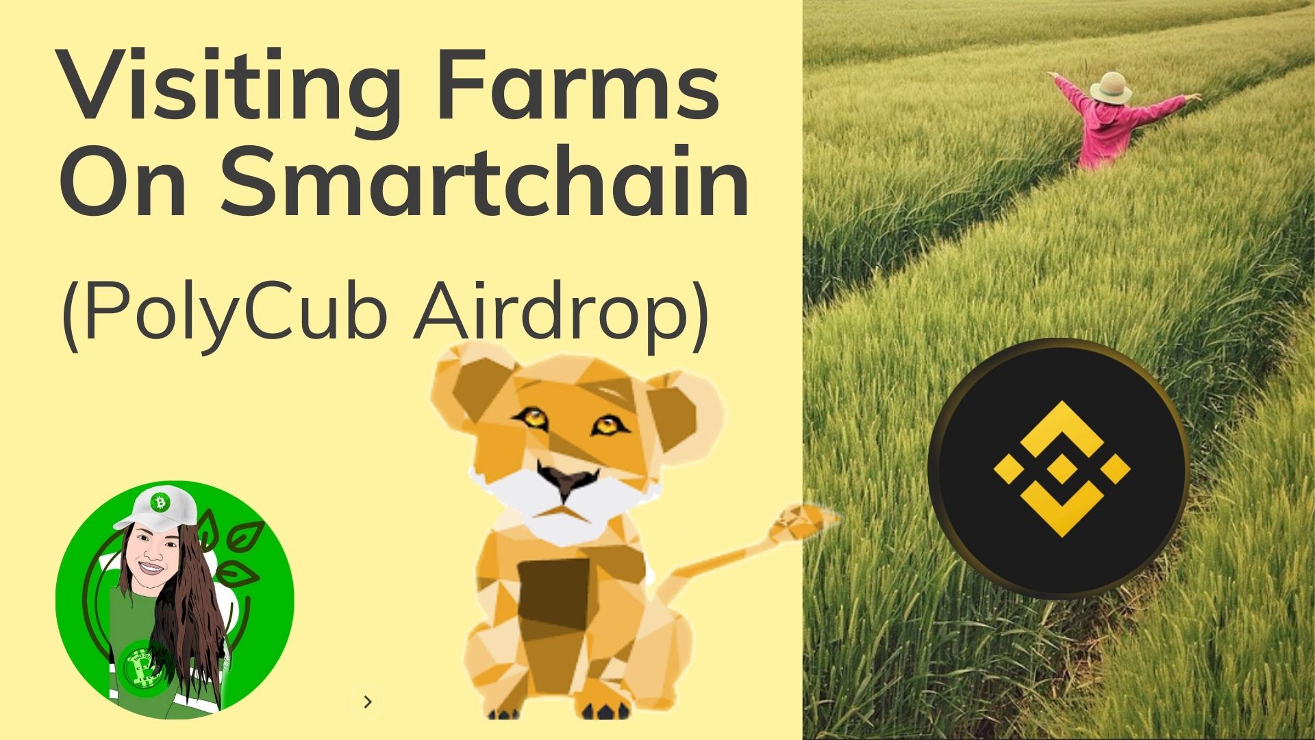 @jane1289/visiting-farms-on-smartchain-polycub-airdrop