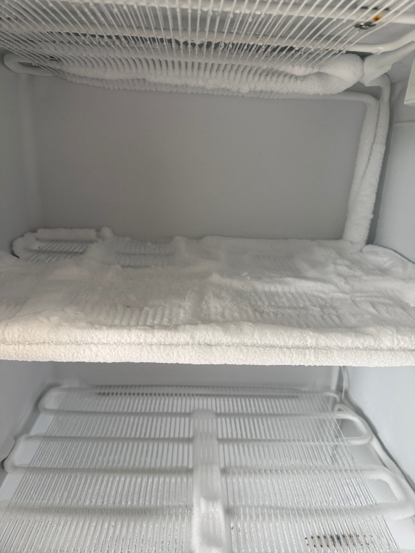 freezer-2.jpg
