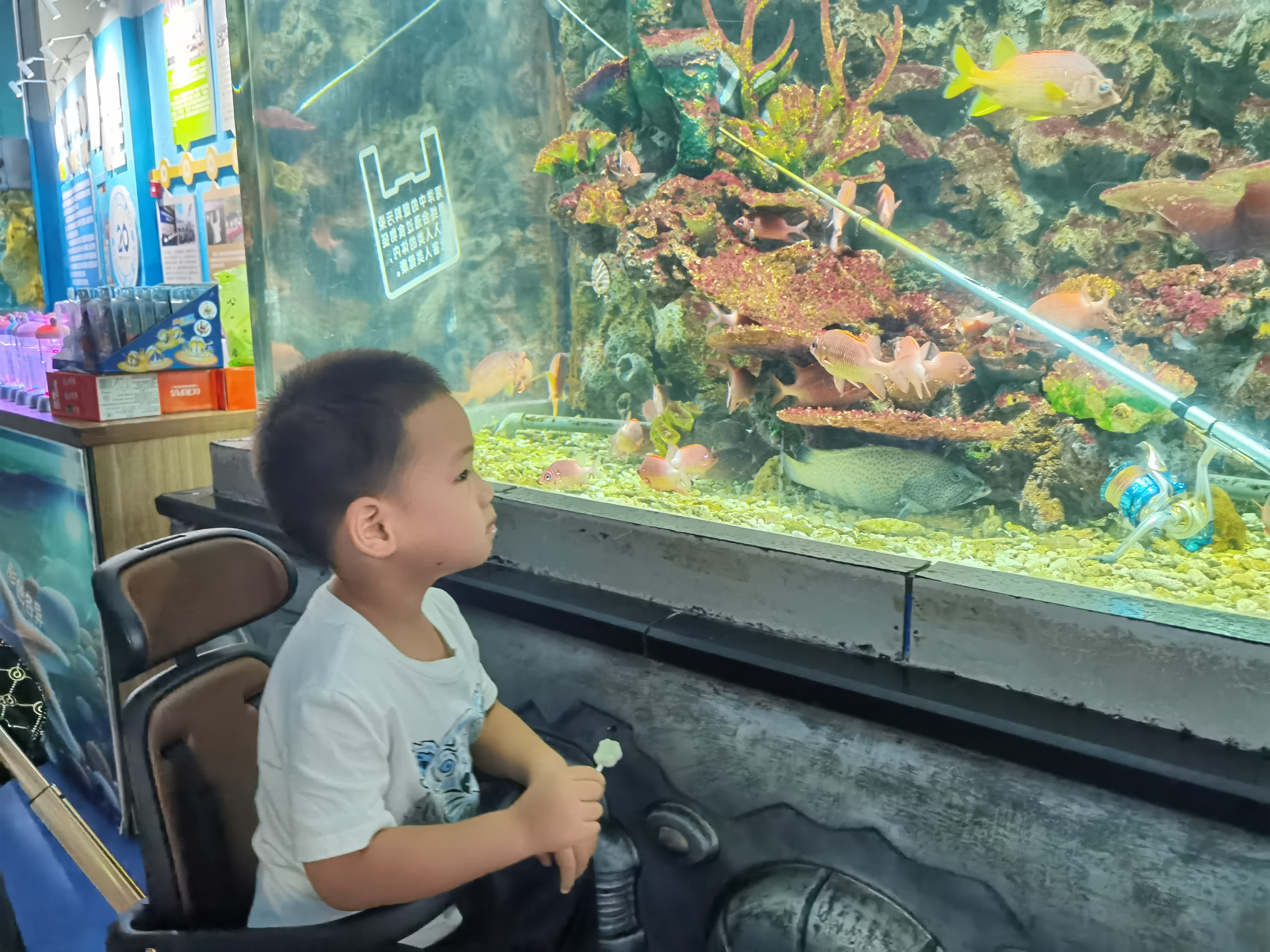 看小丑鱼.jpg