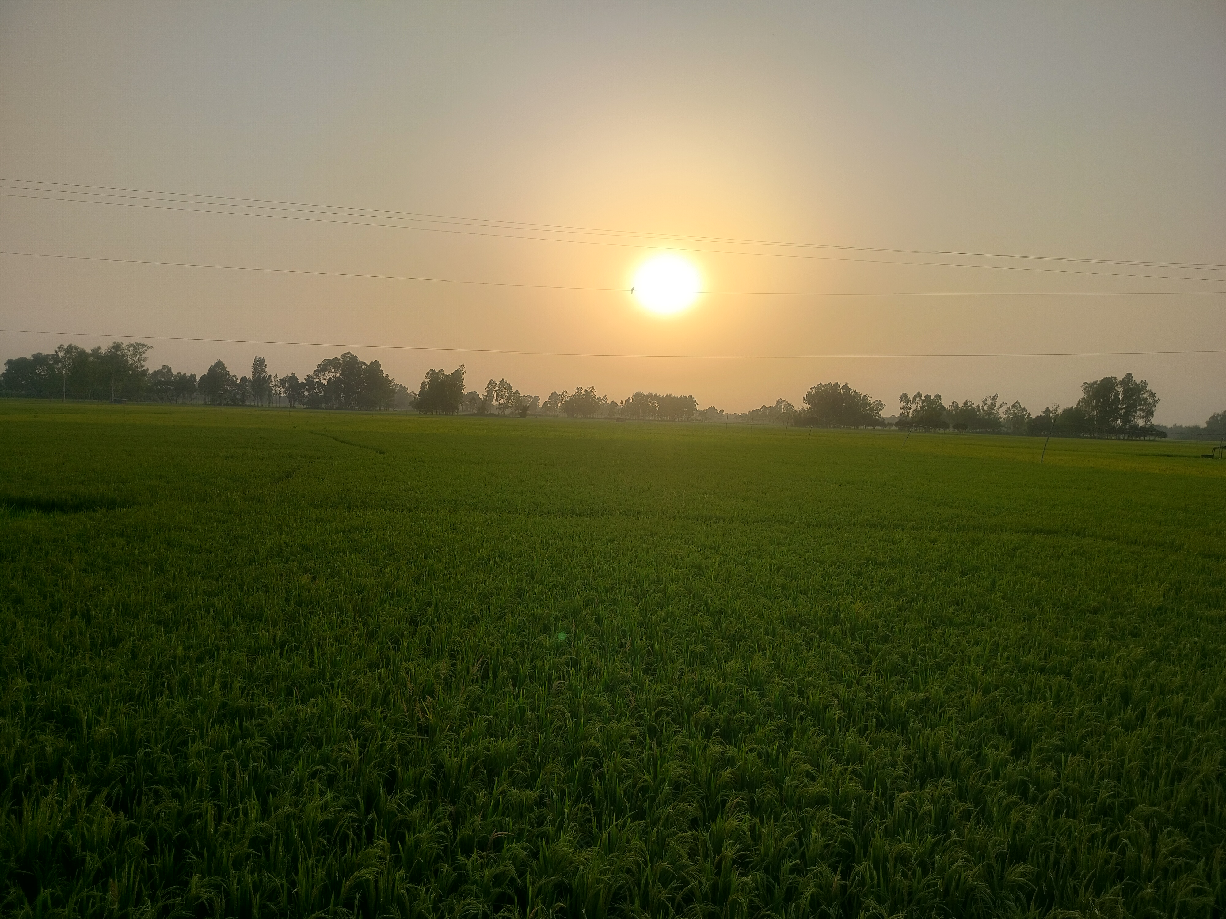 IMG20250423174919.jpg