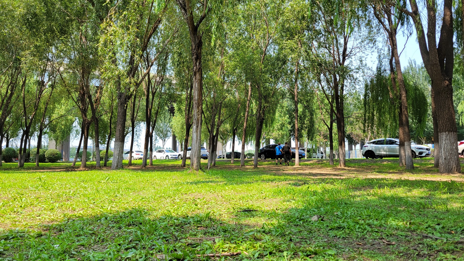 20230718_124130.jpg