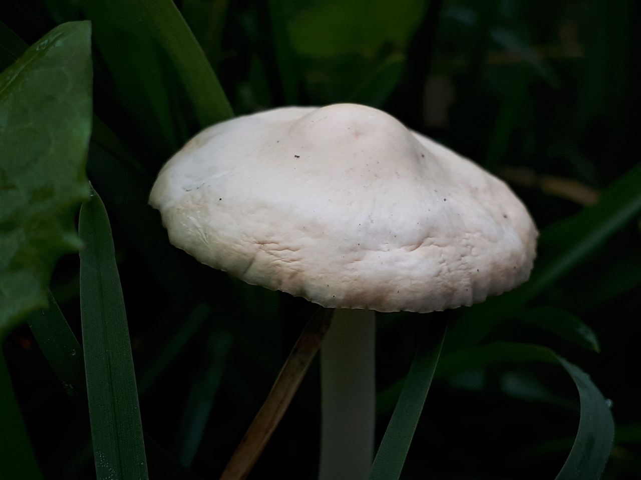 20221003_092418.jpg