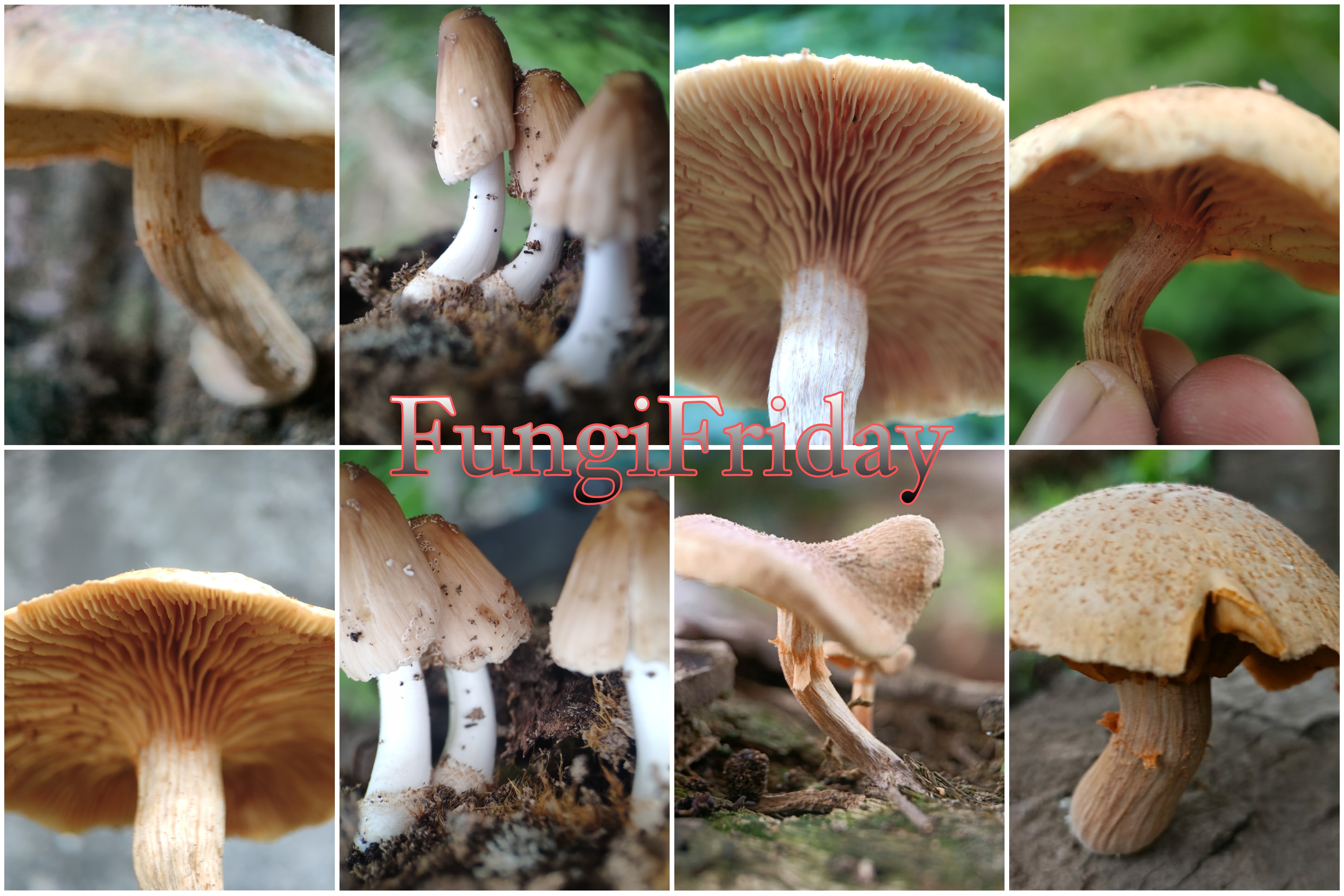 Picsart_22-10-28_23-38-27-684.jpg