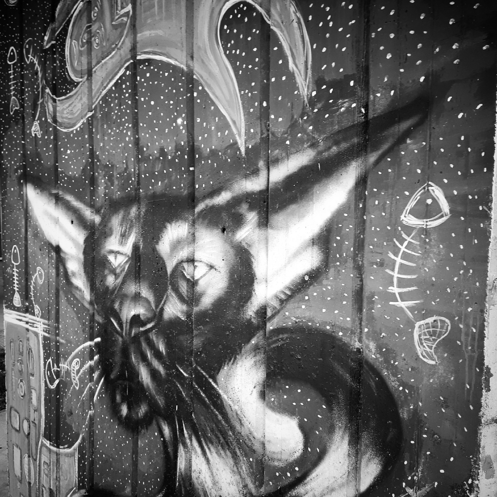 20210819_200837.jpg