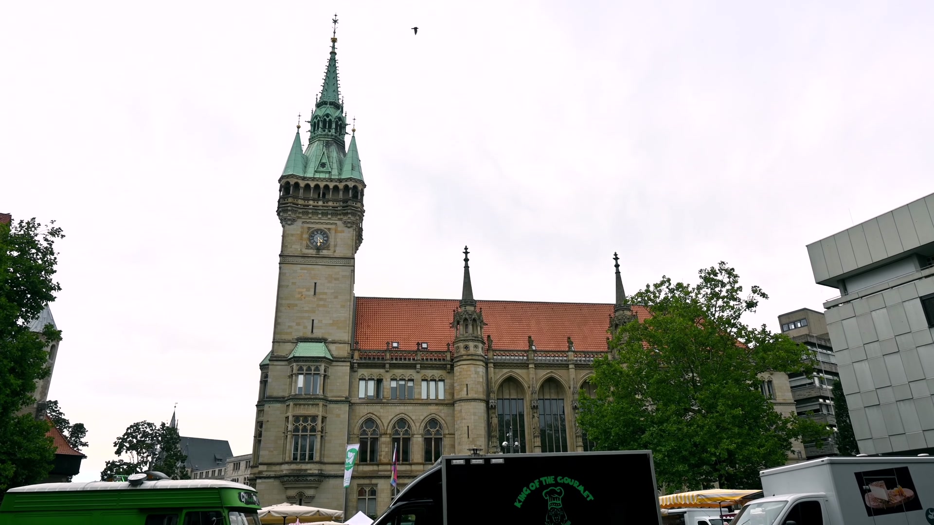 496.jpg