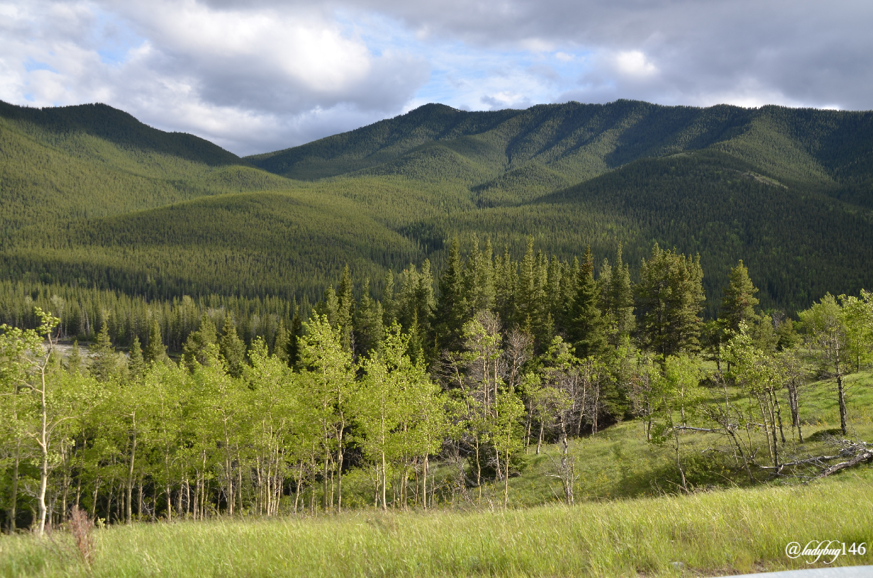 kananaskis.jpg