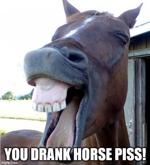 Screenshot 2022-05-21 at 19-17-33 Funny Horse Face Meme Generator - Imgflip.png