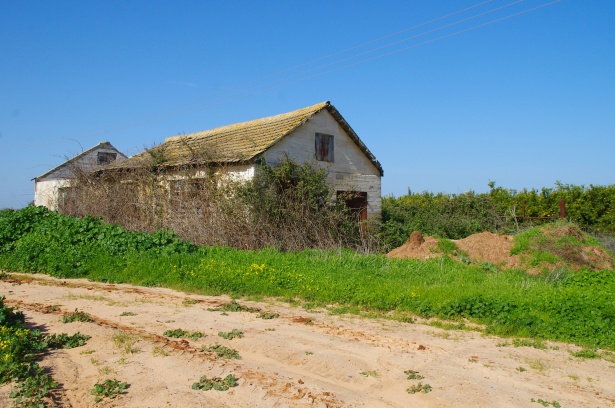 derelict-house-in-the-country.jpg