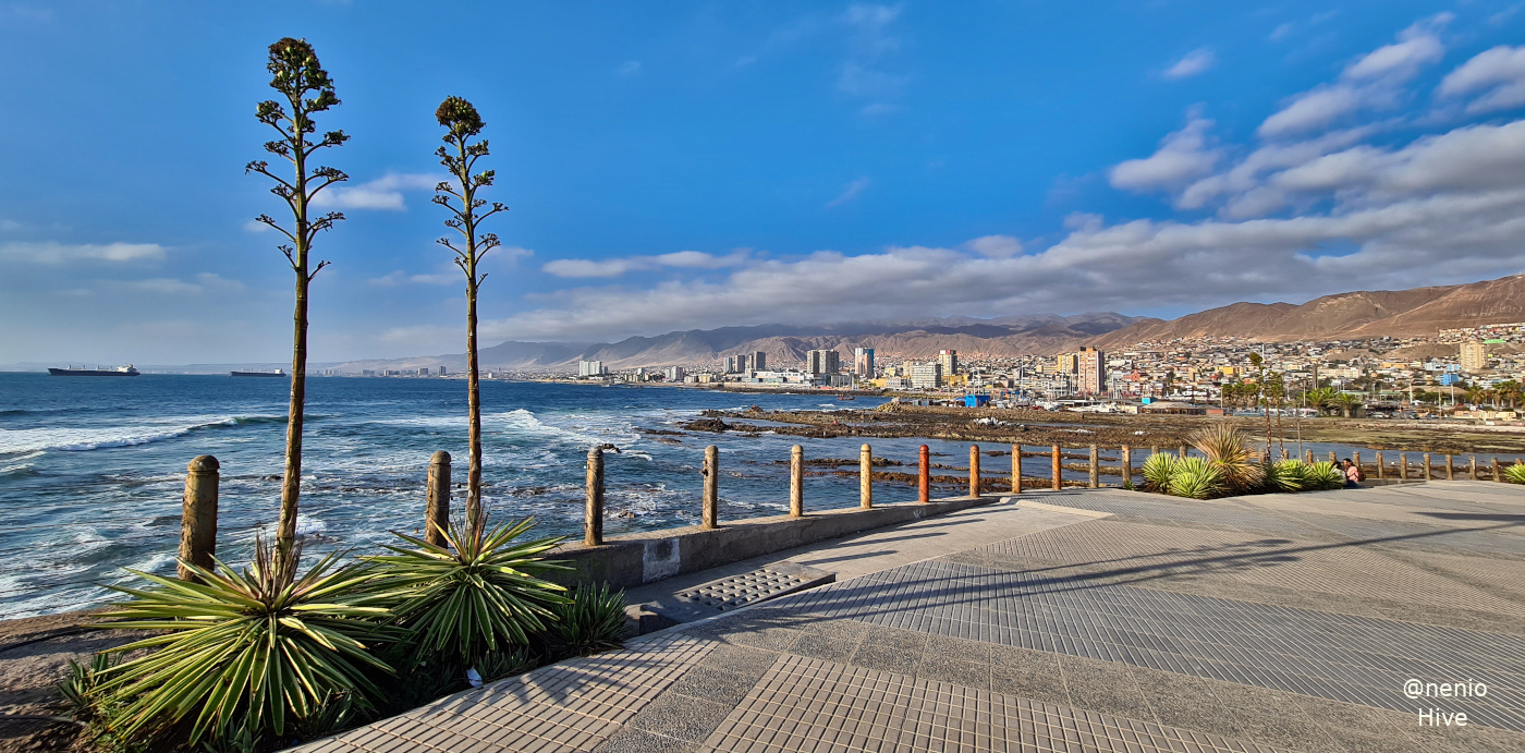 view-antofagasta-020.jpg