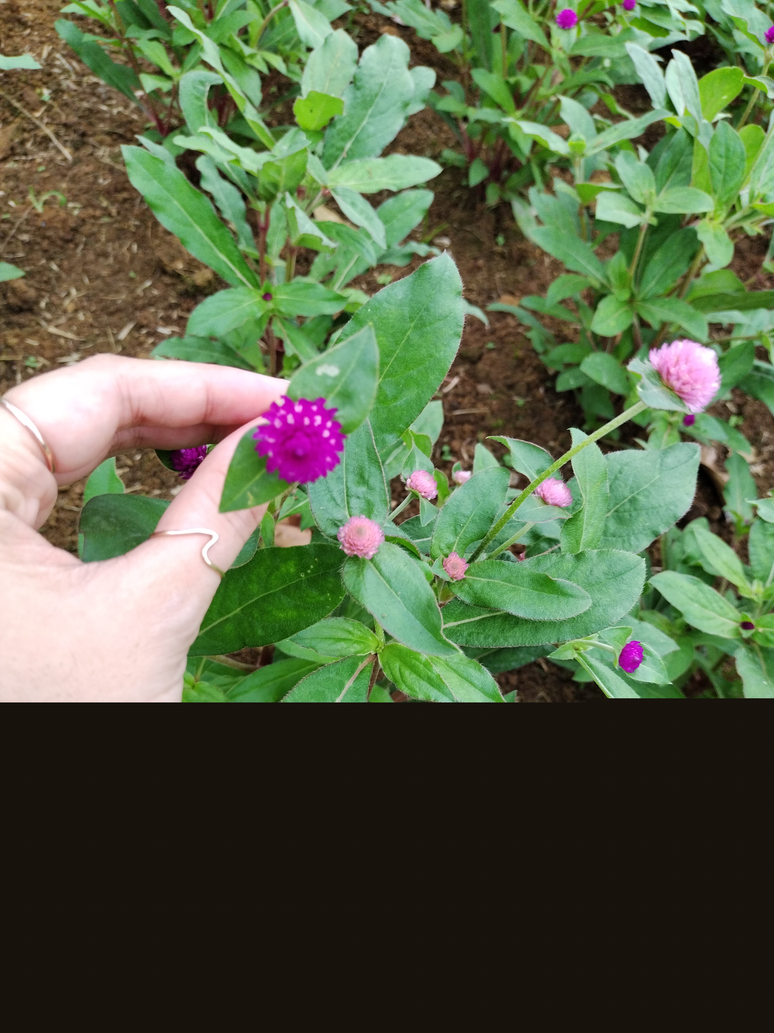 IMG_20230901_162116.jpg