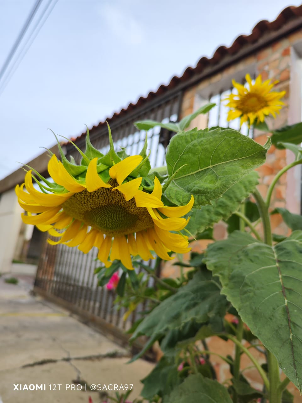 Sin título-3.jpg
